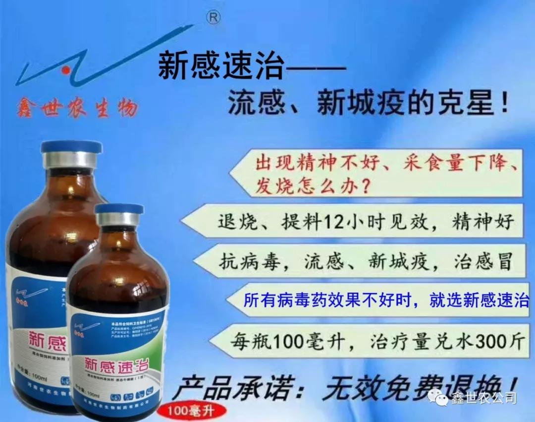 流感、新城疫的克星：新感速治